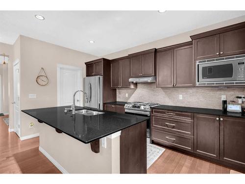 223 Skyview Point Road Ne, Calgary, AB - Indoor Photo Showing Kitchen With Double Sink With Upgraded Kitchen