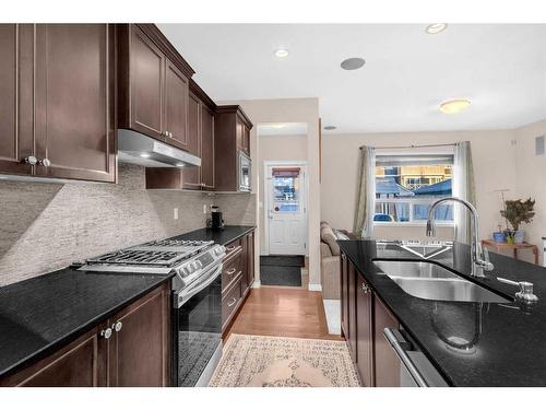 223 Skyview Point Road Ne, Calgary, AB - Indoor Photo Showing Kitchen With Double Sink With Upgraded Kitchen