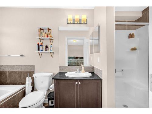 223 Skyview Point Road Ne, Calgary, AB - Indoor Photo Showing Bathroom