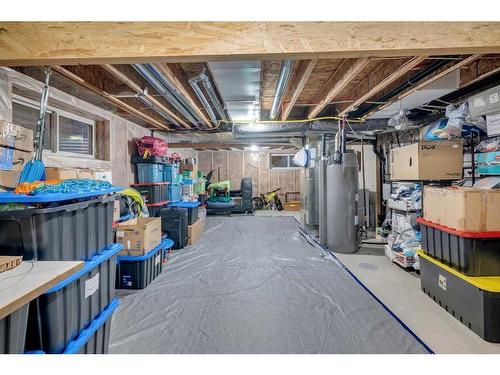 223 Skyview Point Road Ne, Calgary, AB - Indoor Photo Showing Basement