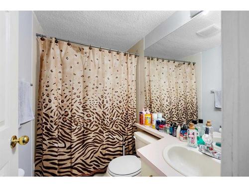 193 Taradale Drive Ne, Calgary, AB - Indoor Photo Showing Bathroom