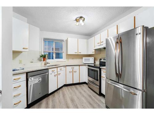 193 Taradale Drive Ne, Calgary, AB - Indoor Photo Showing Kitchen