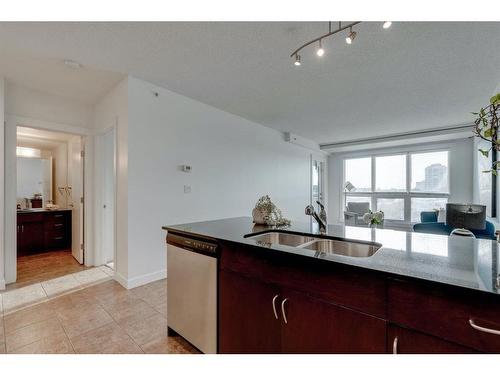 502-8880 Horton Road Sw, Calgary, AB - Indoor Photo Showing Kitchen With Double Sink