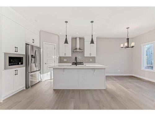 31 Homestead Passage Ne, Calgary, AB - Indoor Photo Showing Kitchen With Double Sink With Upgraded Kitchen