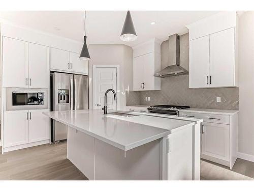 31 Homestead Passage Ne, Calgary, AB - Indoor Photo Showing Kitchen With Stainless Steel Kitchen With Upgraded Kitchen