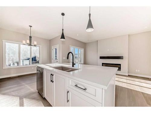 31 Homestead Passage Ne, Calgary, AB - Indoor Photo Showing Kitchen With Double Sink With Upgraded Kitchen