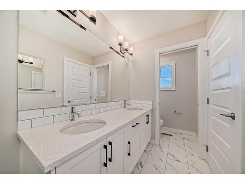 31 Homestead Passage Ne, Calgary, AB - Indoor Photo Showing Bathroom