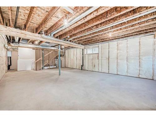 31 Homestead Passage Ne, Calgary, AB - Indoor Photo Showing Basement