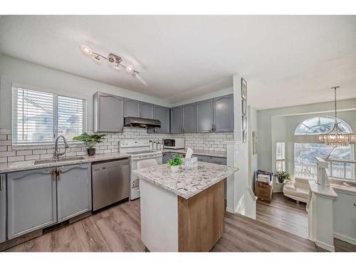 250 Costa Mesa Close Ne, Calgary, AB - Indoor Photo Showing Kitchen With Upgraded Kitchen