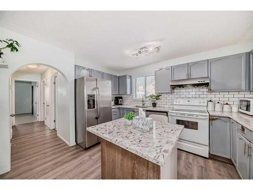 250 Costa Mesa Close Ne, Calgary, AB - Indoor Photo Showing Kitchen With Double Sink With Upgraded Kitchen