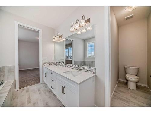 44 Cityline Heath Ne, Calgary, AB - Indoor Photo Showing Bathroom