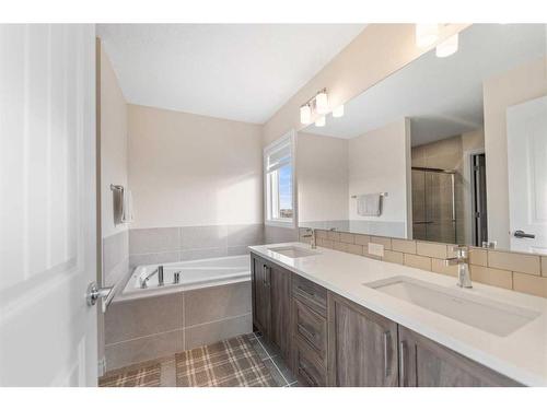 204 Cornerbrook Road, Calgary, AB - Indoor Photo Showing Bathroom