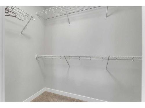 350 Chelsea Hollow, Chestermere, AB - Indoor With Storage