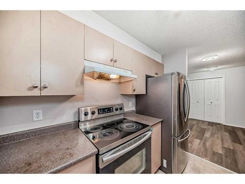 3204-16320 24 Street Sw, Calgary, AB - Indoor Photo Showing Kitchen With Stainless Steel Kitchen