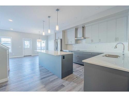 297 Homestead Crescent Ne, Calgary, AB - Indoor Photo Showing Kitchen With Upgraded Kitchen