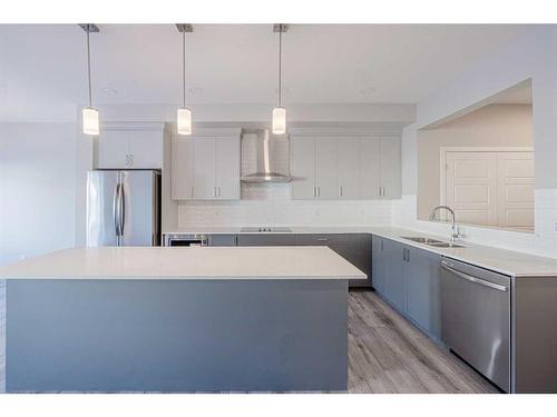 297 Homestead Crescent Ne, Calgary, AB - Indoor Photo Showing Kitchen With Stainless Steel Kitchen With Double Sink With Upgraded Kitchen