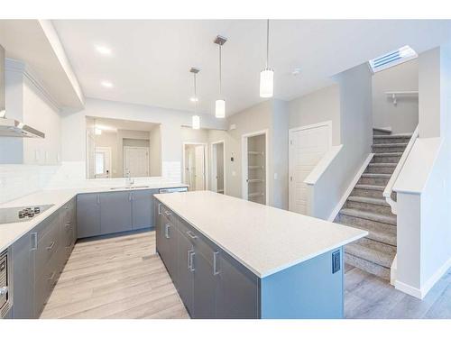 297 Homestead Crescent Ne, Calgary, AB - Indoor Photo Showing Kitchen With Double Sink With Upgraded Kitchen