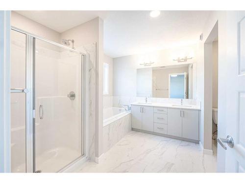 297 Homestead Crescent Ne, Calgary, AB - Indoor Photo Showing Bathroom