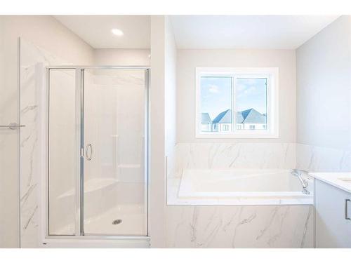 297 Homestead Crescent Ne, Calgary, AB - Indoor Photo Showing Bathroom