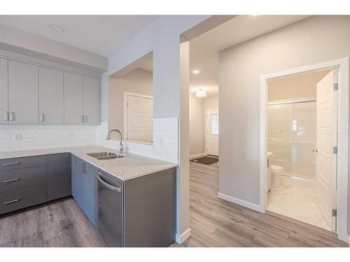 297 Homestead Crescent Ne, Calgary, AB - Indoor Photo Showing Kitchen With Double Sink