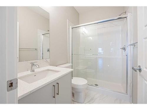 297 Homestead Crescent Ne, Calgary, AB - Indoor Photo Showing Bathroom