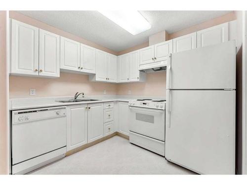 114-5000 Somervale Court Sw, Calgary, AB - Indoor Photo Showing Kitchen With Double Sink