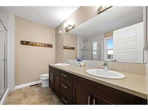 333 Clydesdale Way, Cochrane, AB - Indoor Photo Showing Bathroom