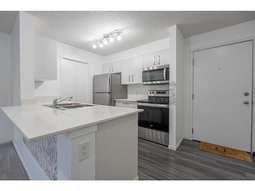 3321-4641 128 Avenue Ne, Calgary, AB - Indoor Photo Showing Kitchen With Double Sink