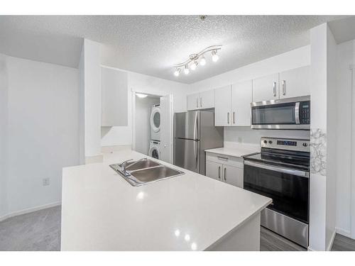 3321-4641 128 Avenue Ne, Calgary, AB - Indoor Photo Showing Kitchen With Stainless Steel Kitchen With Double Sink