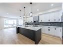 148 Saddlelake Manor Ne, Calgary, AB  - Indoor Photo Showing Kitchen With Upgraded Kitchen 