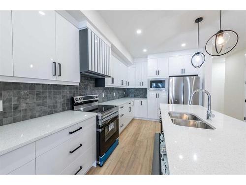 148 Saddlelake Manor Ne, Calgary, AB - Indoor Photo Showing Kitchen With Double Sink With Upgraded Kitchen