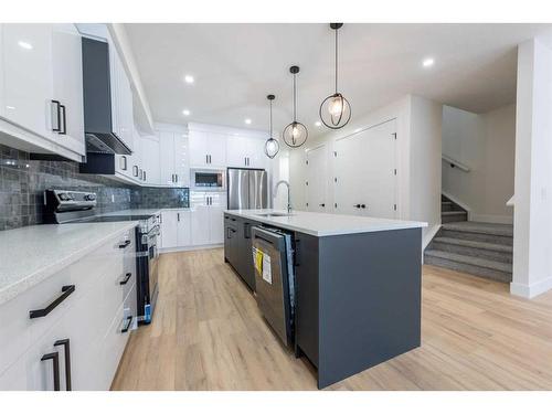 148 Saddlelake Manor Ne, Calgary, AB - Indoor Photo Showing Kitchen With Upgraded Kitchen