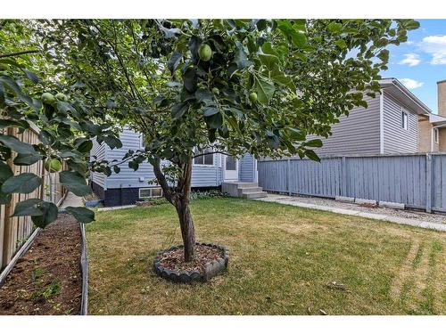 82 Taraglen Road Ne, Calgary, AB - Outdoor