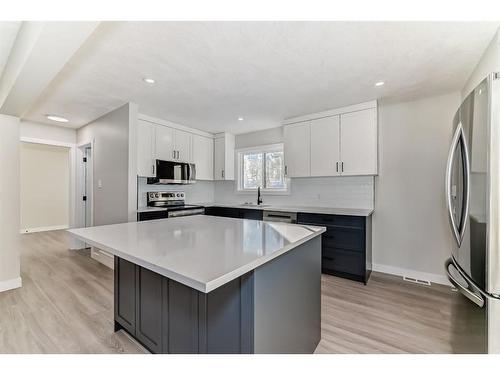 63 Fenton Road Se, Calgary, AB - Indoor Photo Showing Kitchen With Stainless Steel Kitchen With Upgraded Kitchen