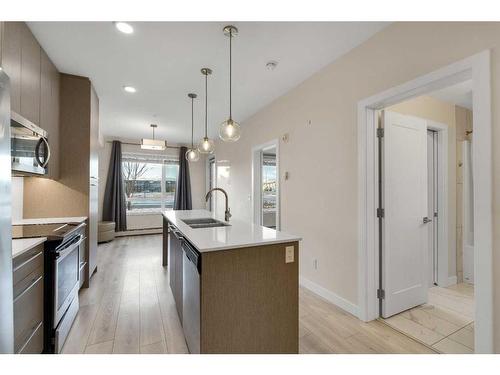 1123-76 Cornerstone Passage Ne, Calgary, AB - Indoor Photo Showing Kitchen With Double Sink With Upgraded Kitchen