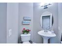 54 Redstone Mews Ne, Calgary, AB  - Indoor Photo Showing Bathroom 