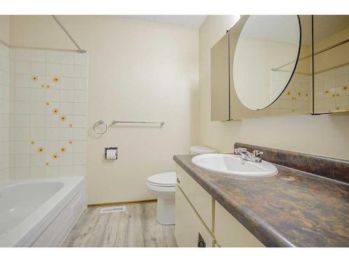 162 Pinemeadow Road Ne, Calgary, AB - Indoor Photo Showing Bathroom