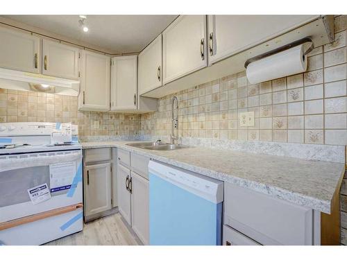 162 Pinemeadow Road Ne, Calgary, AB - Indoor Photo Showing Kitchen With Double Sink