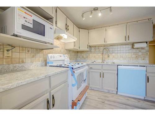 162 Pinemeadow Road Ne, Calgary, AB - Indoor Photo Showing Kitchen With Double Sink