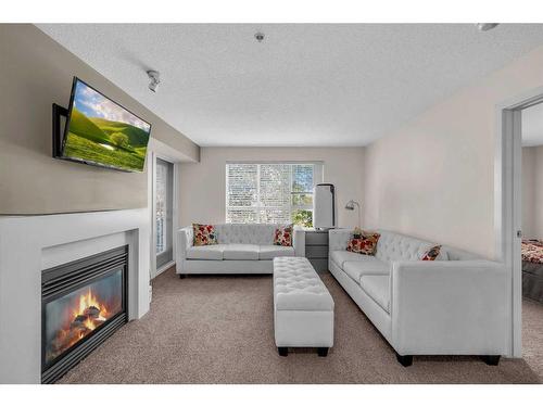 312-35 Richard Court Sw, Calgary, AB - Indoor Photo Showing Living Room With Fireplace