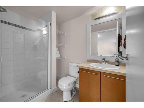 312-35 Richard Court Sw, Calgary, AB - Indoor Photo Showing Bathroom