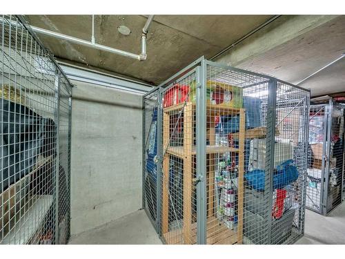 312-35 Richard Court Sw, Calgary, AB - Indoor With Storage