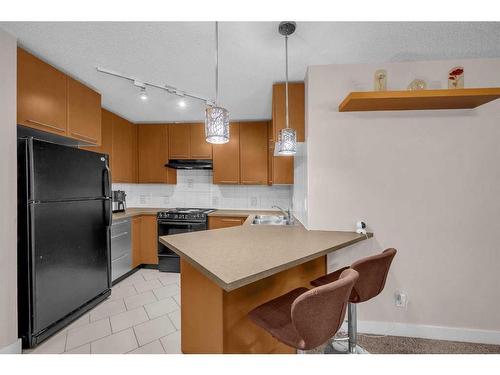 312-35 Richard Court Sw, Calgary, AB - Indoor Photo Showing Kitchen With Double Sink