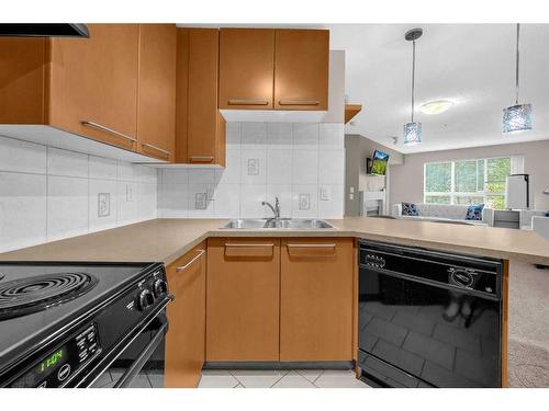 312-35 Richard Court Sw, Calgary, AB - Indoor Photo Showing Kitchen With Double Sink