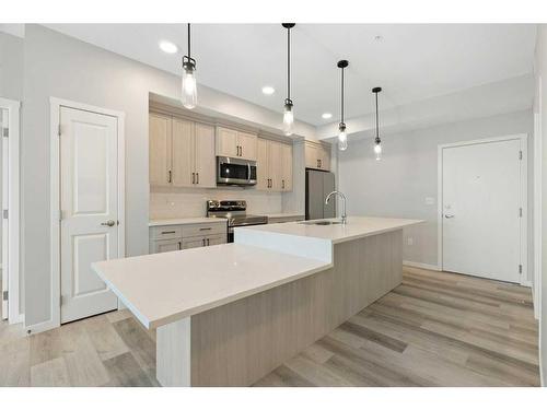 1406-42 Cranbrook Gardens Se, Calgary, AB - Indoor Photo Showing Kitchen With Stainless Steel Kitchen With Upgraded Kitchen