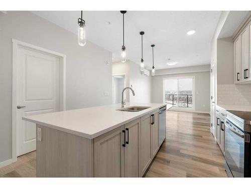 1406-42 Cranbrook Gardens Se, Calgary, AB - Indoor Photo Showing Kitchen With Double Sink With Upgraded Kitchen