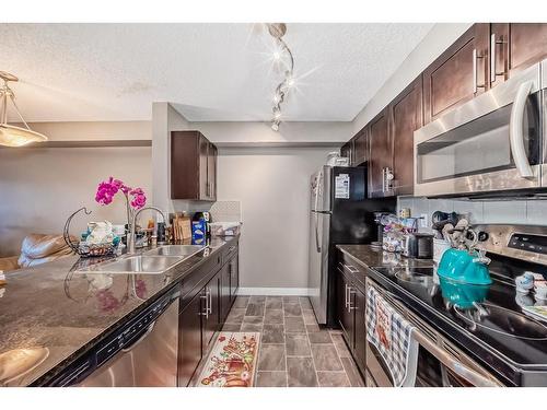 308-15 Saddlestone Way Ne, Calgary, AB - Indoor Photo Showing Kitchen With Double Sink