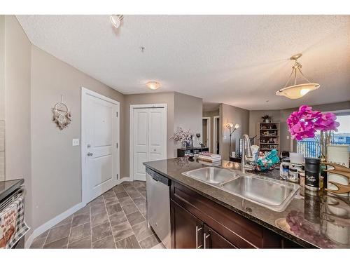 308-15 Saddlestone Way Ne, Calgary, AB - Indoor Photo Showing Kitchen With Double Sink