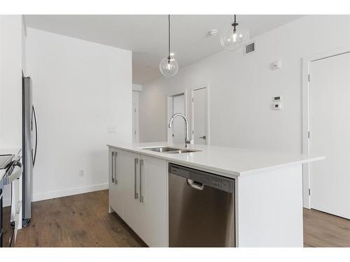 1509-60 Skyview Ranch Road Ne, Calgary, AB - Indoor Photo Showing Kitchen With Double Sink With Upgraded Kitchen