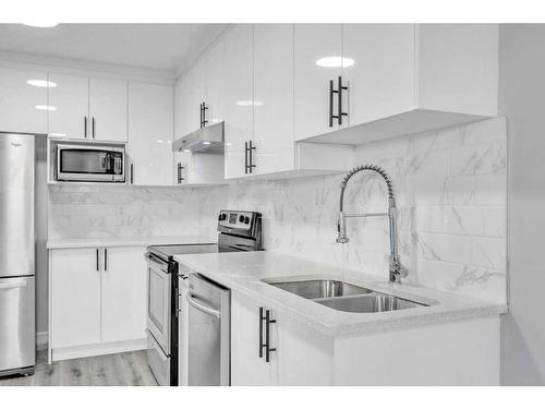 252 Coral Springs Mews Ne, Calgary, AB - Indoor Photo Showing Kitchen With Double Sink With Upgraded Kitchen